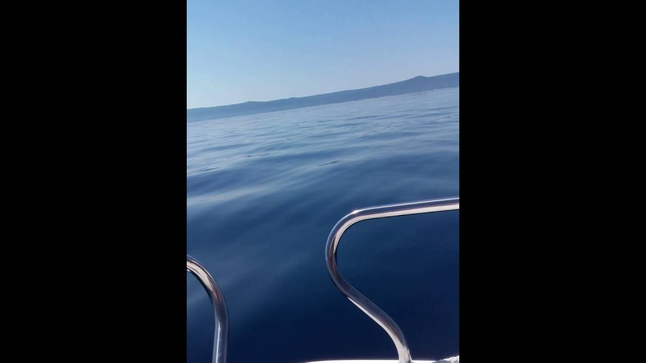 Delfiny dolphins  Hvar Croatia Vela Stiniva.