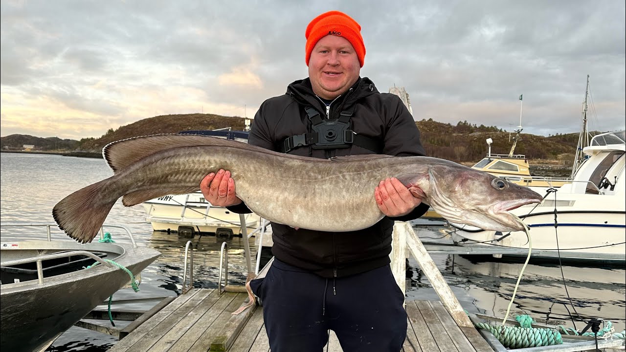 Рыбалка в Норвегии. День седьмой. Осминог.  Гигантский LENG 15 кг. Norwey Abelvaer  Апрель 2025