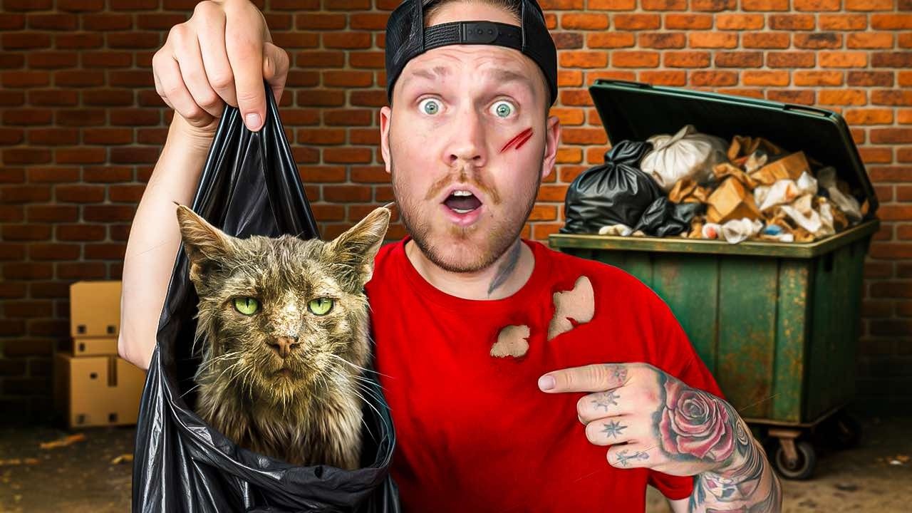 URATOWAŁEM KOTA UWIĘZIONEGO w PIWNICY!