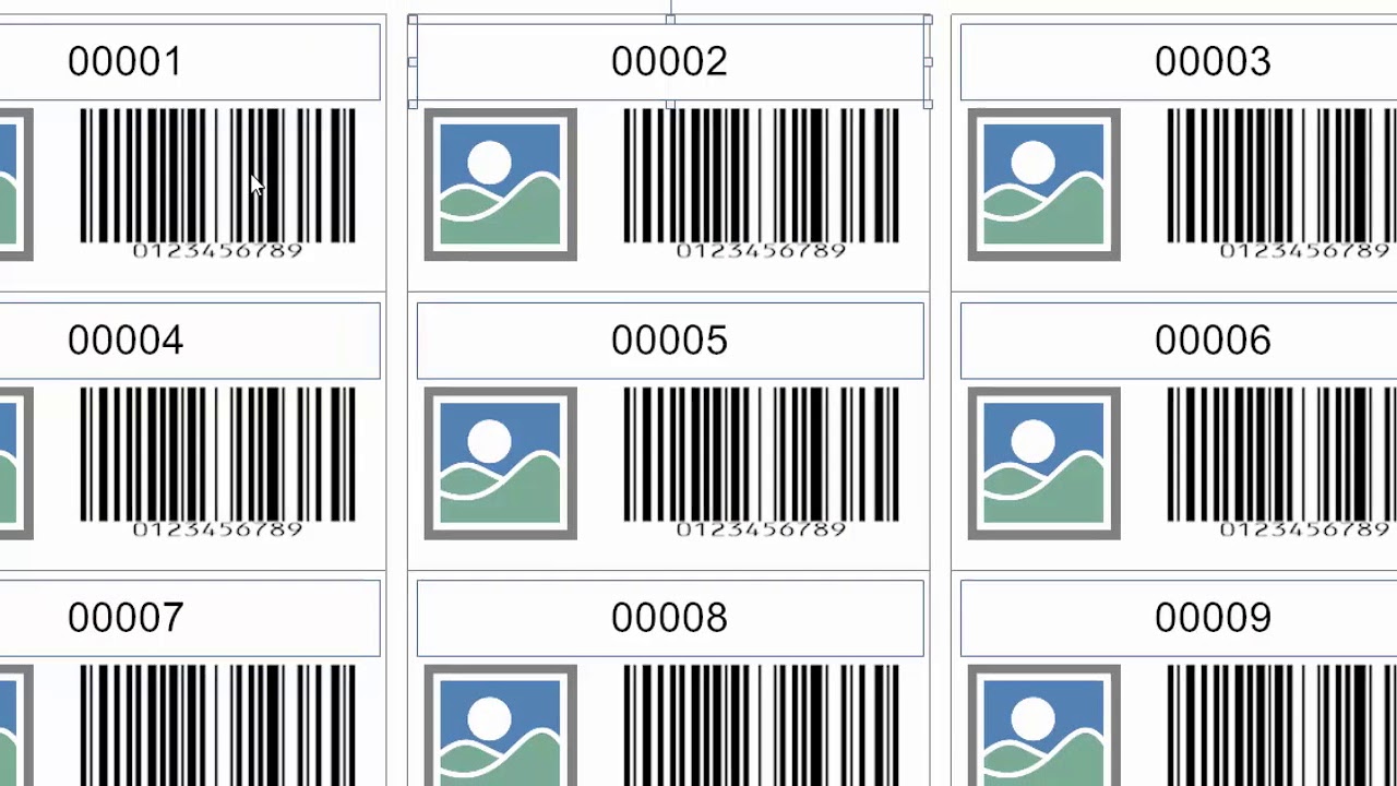 Labeljoy 6 - How to use incremental counters