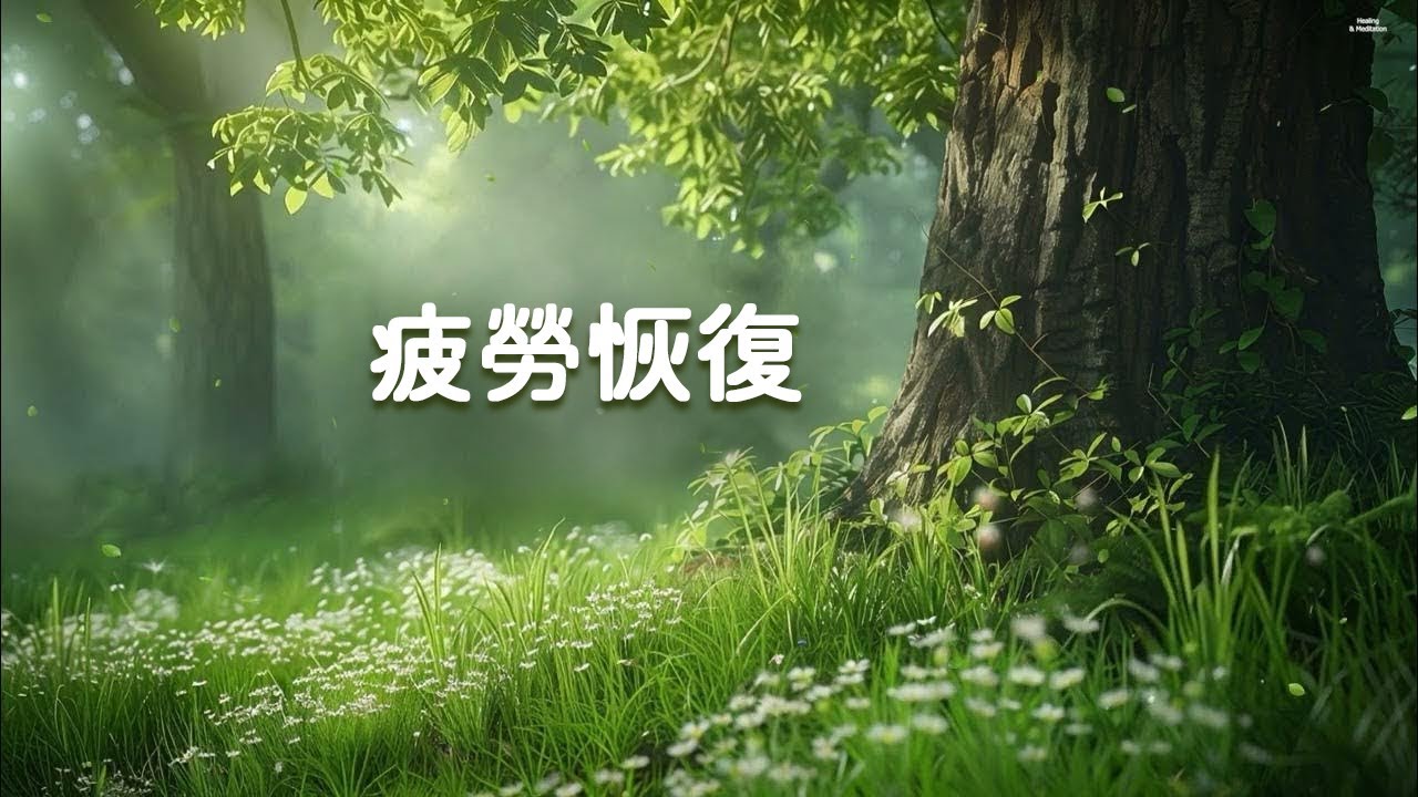100% 無廣告 - 讓頭腦清醒的森林療癒音樂｜疲勞恢復音樂，適合閱讀、工作、冥想、瑜伽、按摩、SPA、助眠、自然之聲與身心放鬆。