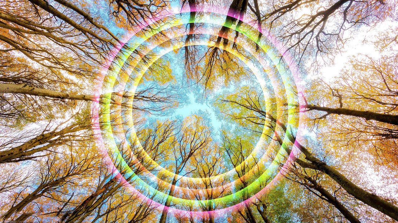 Source Tantric Libido & Sexual Energy from Sacred Forest - Natural Potency Healing from Forefathers