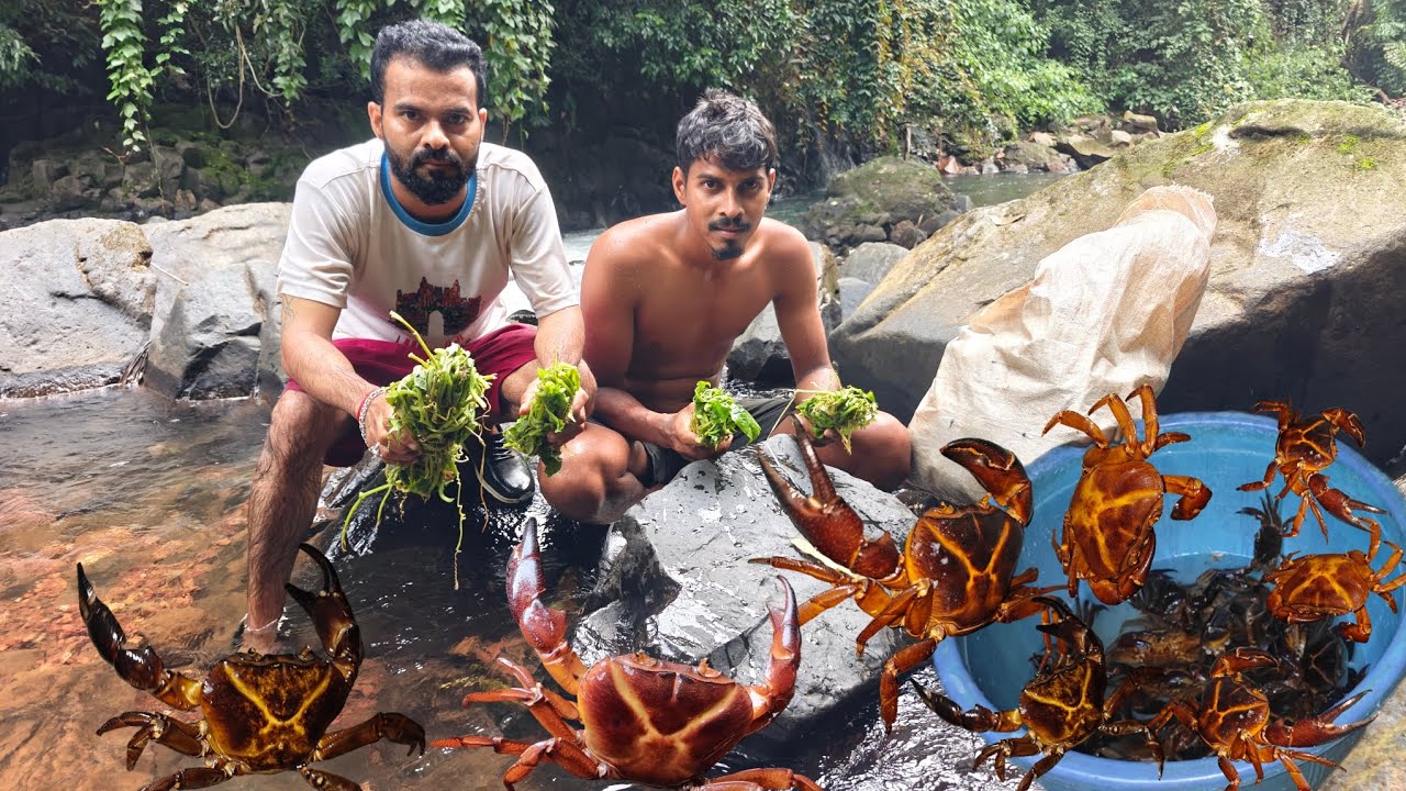 रानवेलीचा पाला टाकून खेकडे पकडण्याची कोकणातील भन्नाट पद्दत | Traditional Crab catching @TejaGurav 