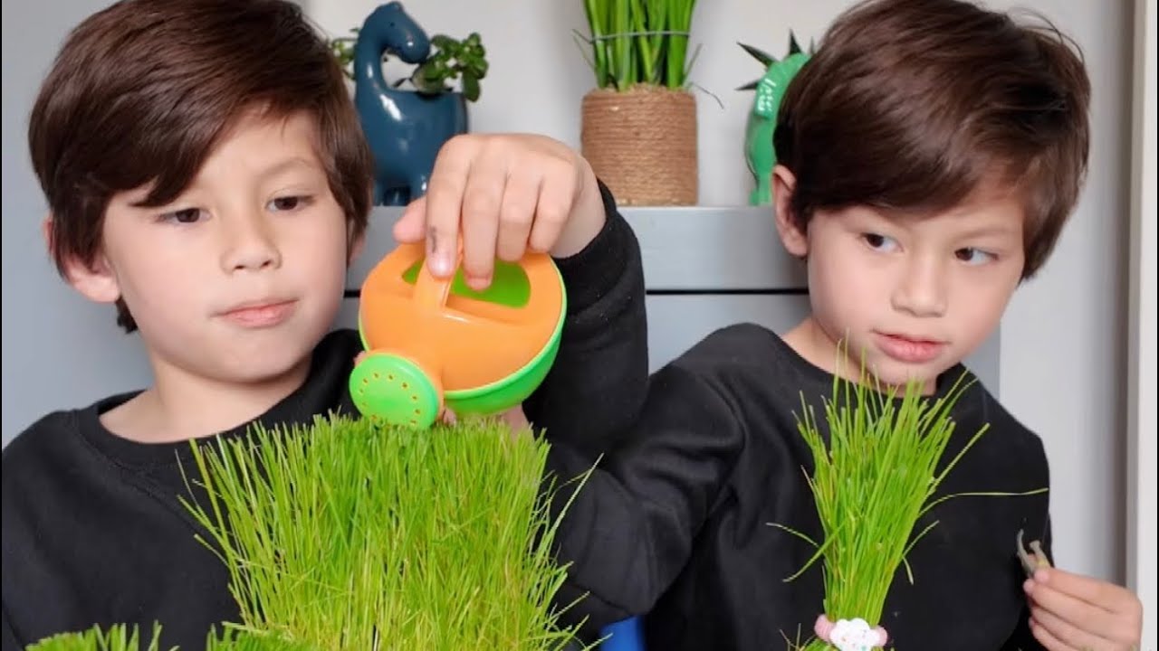 First haircut ng twin baby grass heads
