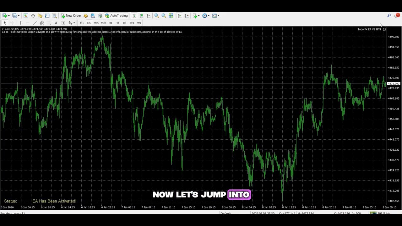 ToborFX EA MT4 | No DLL Forex Robot | Automated Trading EA for Prop Firms