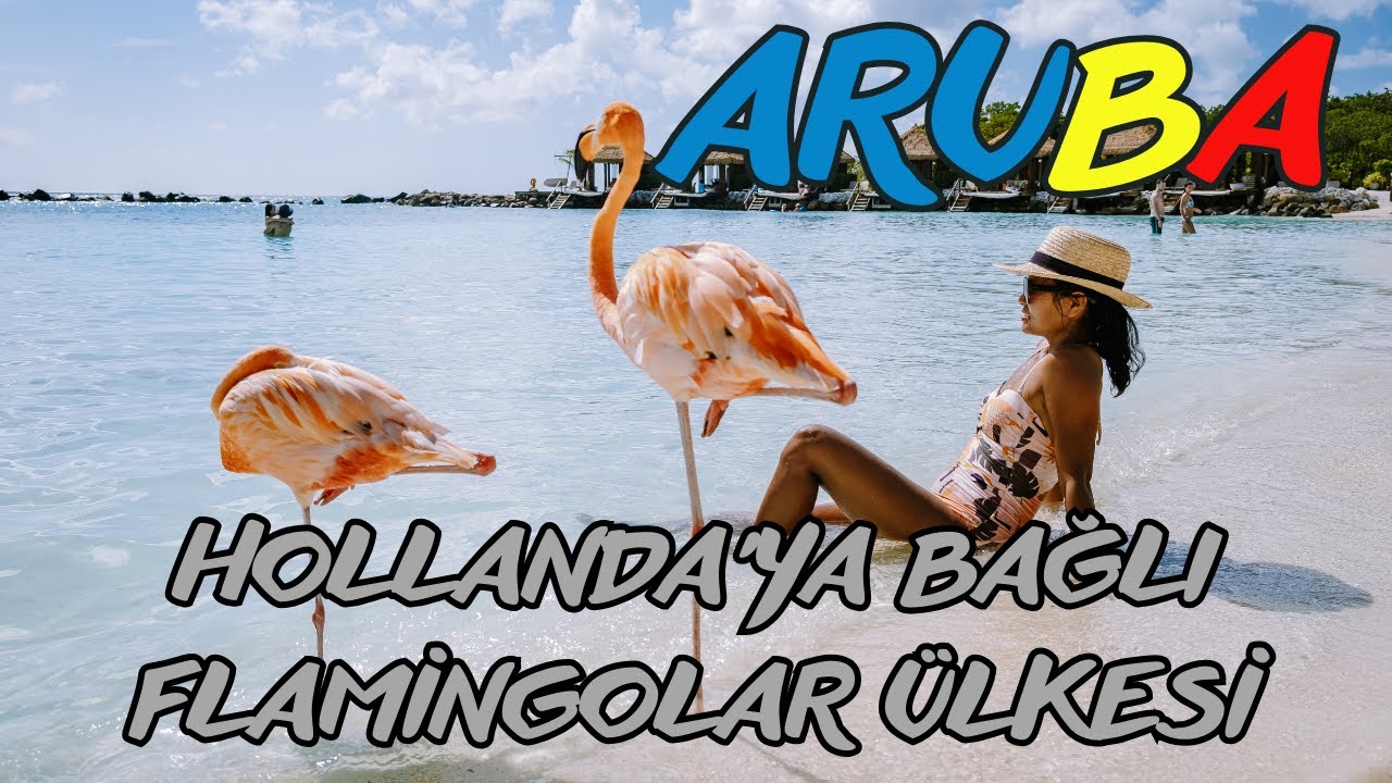 Hollanda Krallığına Bağlı Ada Ülkesi ARUBA 🇦🇼 | Flamingolar Ülkesi