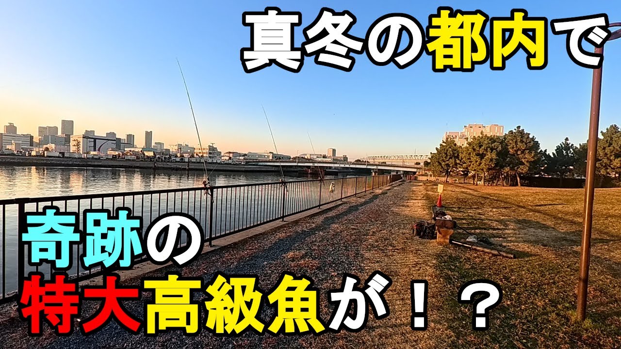 【東京都某所】真冬の都内で奇跡の特大高級魚が！？海釣りオフシーズン期間に、関東地方にある東京湾側に面している釣り場で、とある魚の調査釣行をしてみたら…！【2025年12月下旬〜2026年1月上旬】