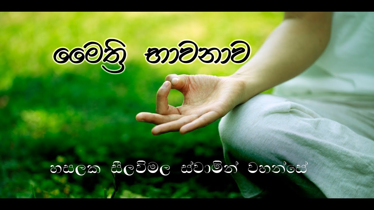 මෛත්&zwj;රී භාවනාව | හසලක සීලවිමල හිමි