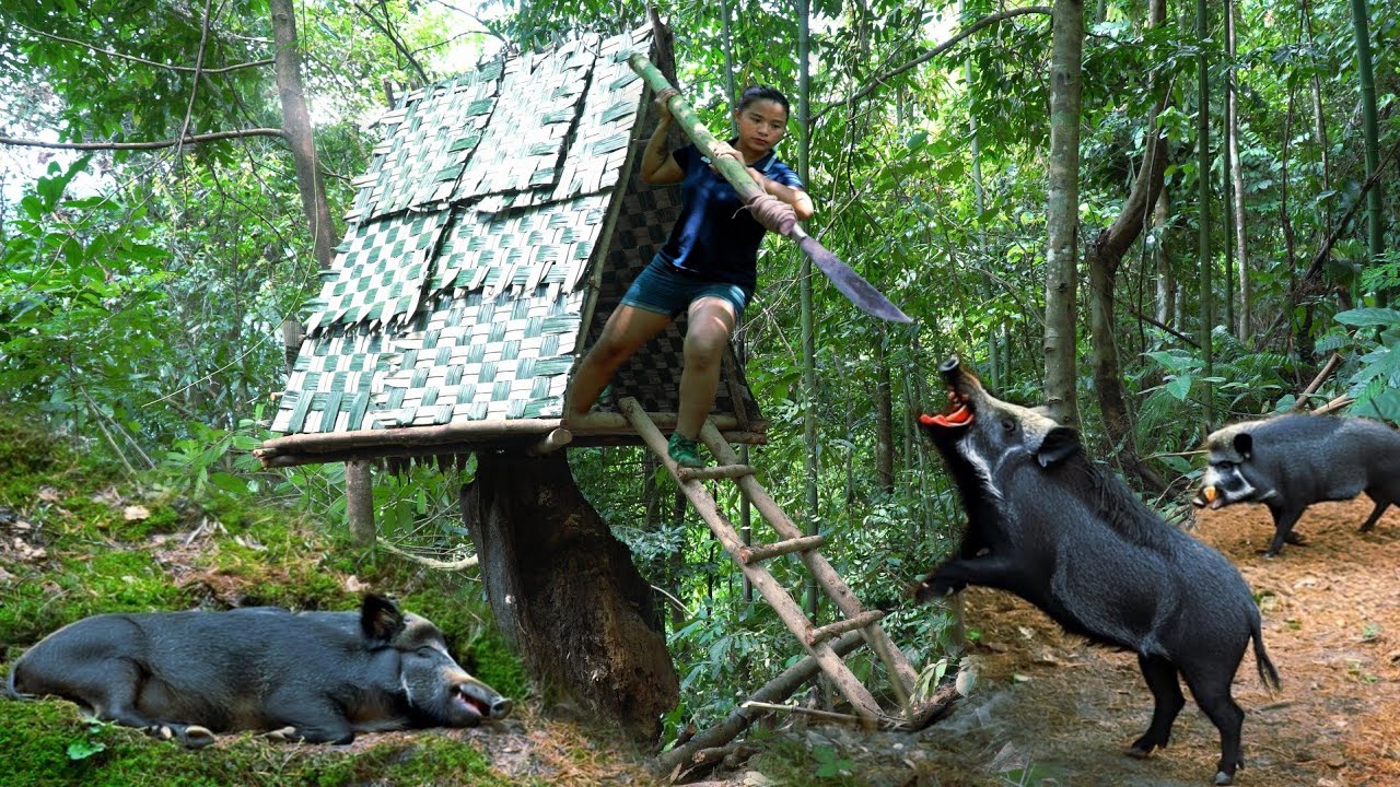 30 Days Alone on an Ancient Tree – Building a Shelter and Facing Wild Animals at Night | phượng pú