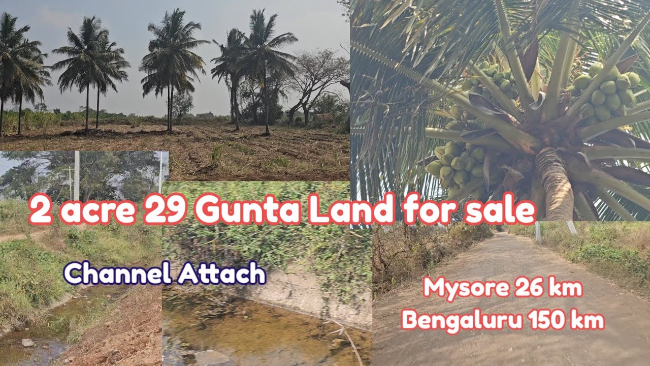 #soldout 2acre 29 gunta land for sale 15 coconut tree channel attach