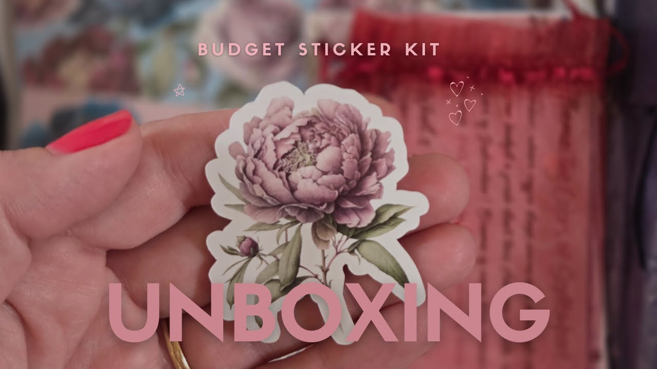 I&rsquo;m Obsessed with These Budget Stickers! 📒 | Van Lily Unboxing