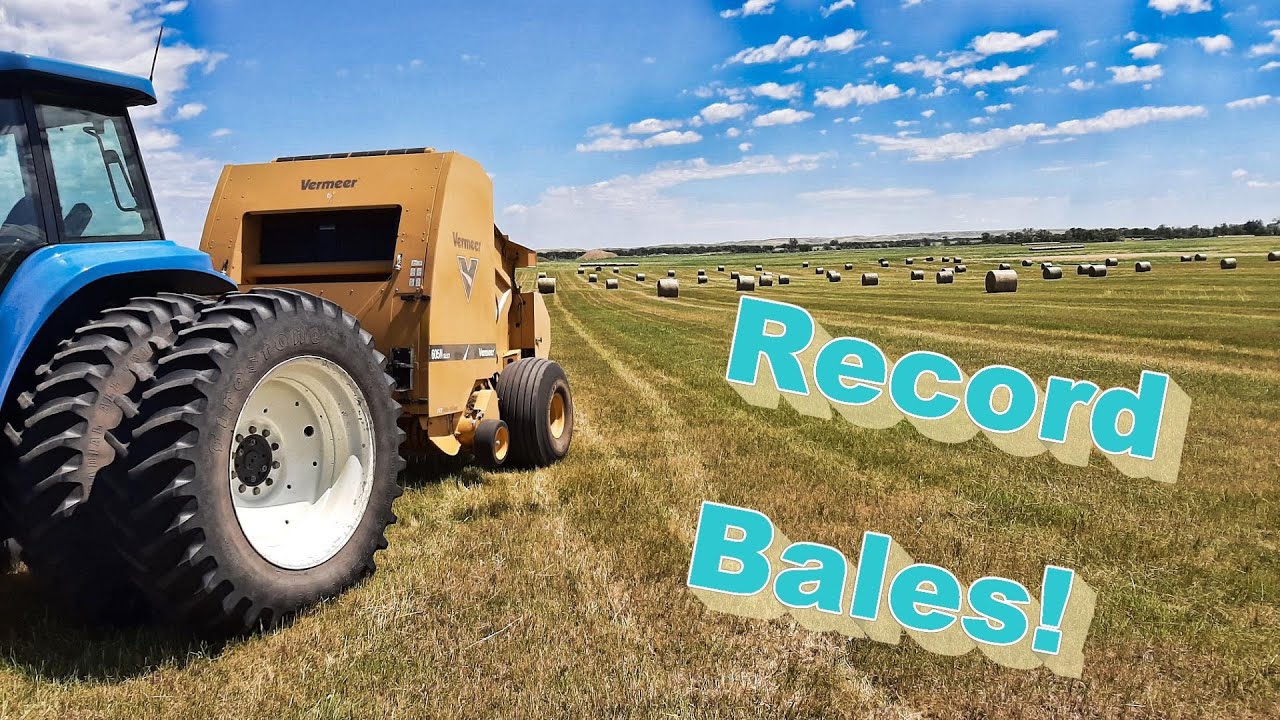 Record Bale Setting Field - Vermeer 605N, Rowse V-Rake