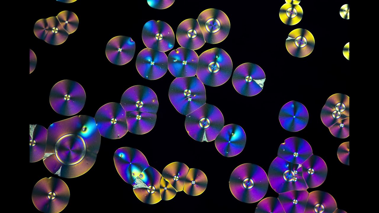 Crystal Growth Timelapse