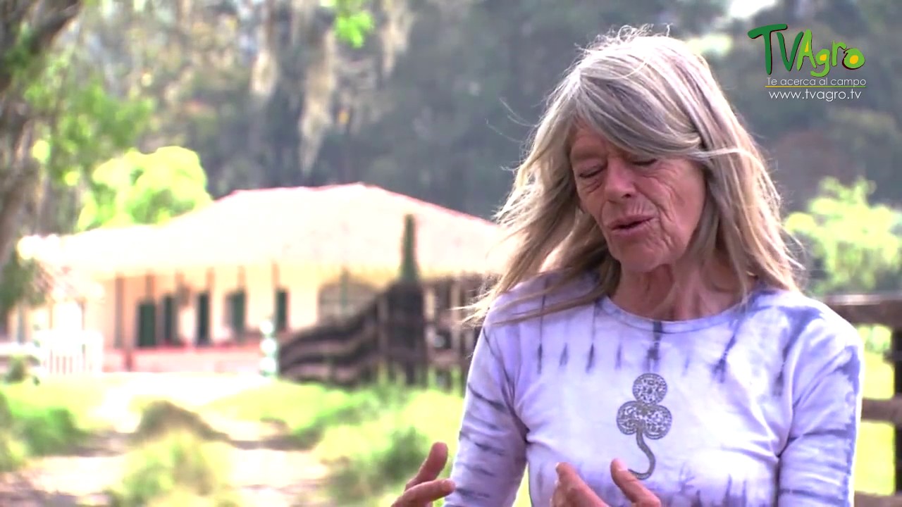 Como Adiestrar Caballos por Lucy Rees - TvAgro por Juan Gonzalo Angel