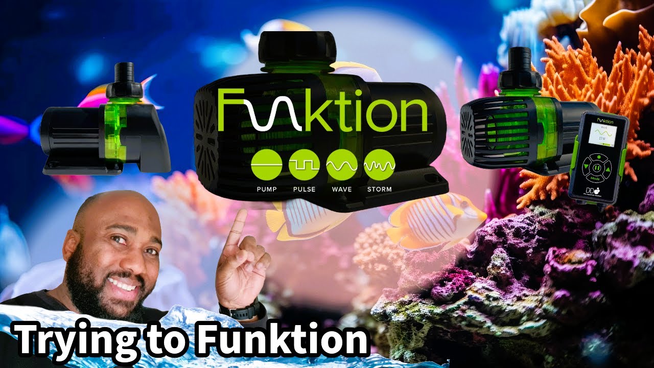 Ecotech Vetra failed, switching for more Funktion | Reef tank updates @hcaquaticsreefing
