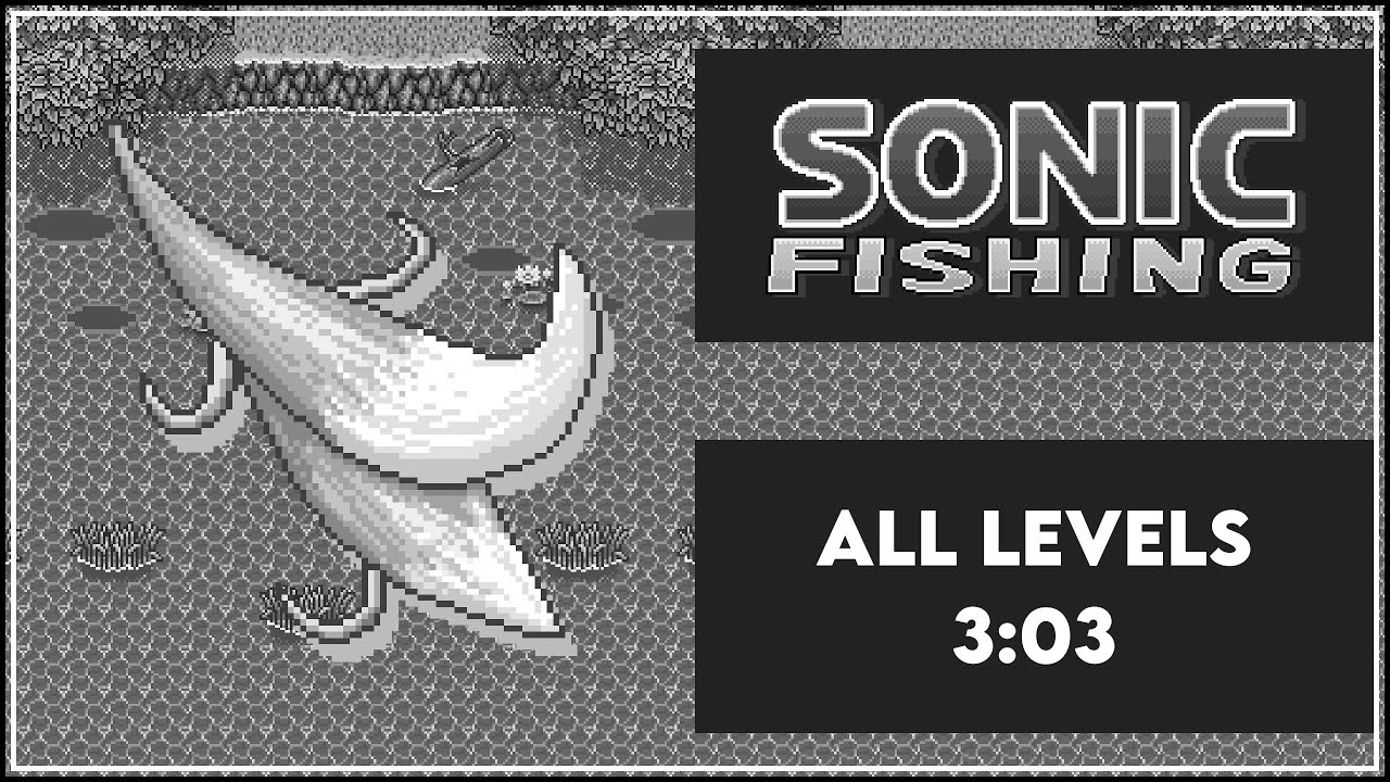 Sonic Fishing | All levels | 3m 03s