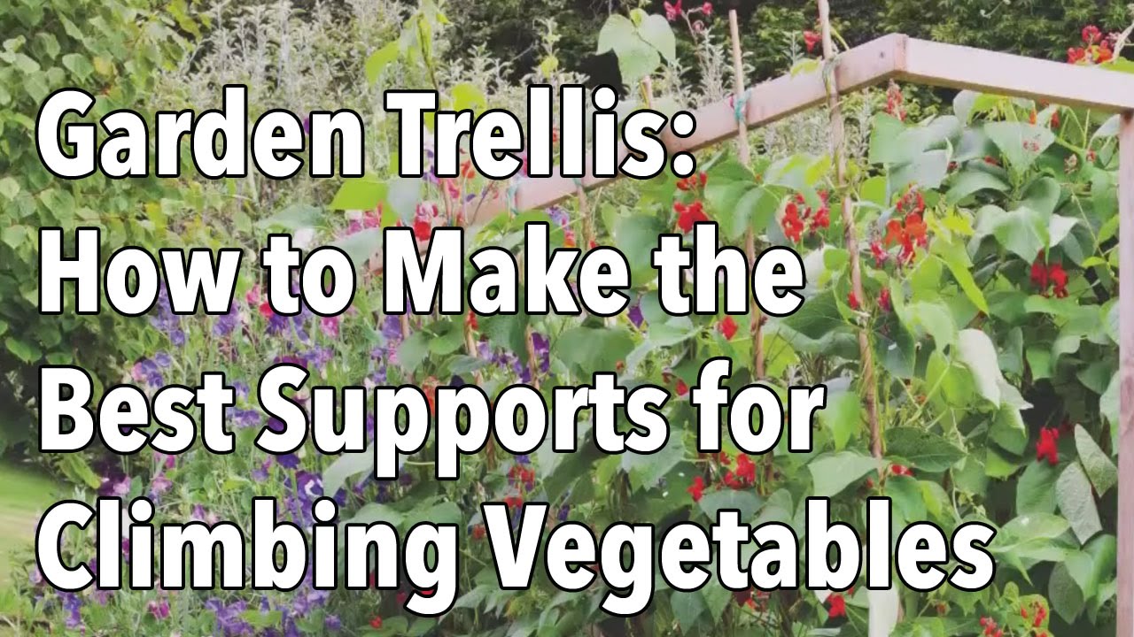Garden Trellis - How to Make the Best Supports for Climbing Vegetables