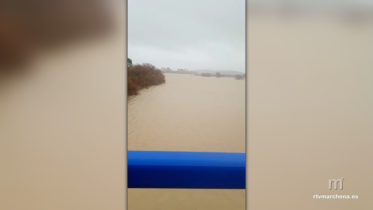 El río Corbones como nunca antes lo hemos visto en el término municipal de Marchena