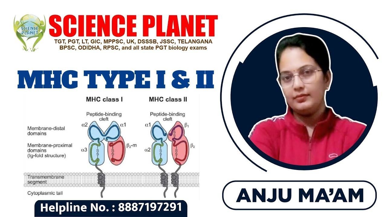 (MHC TYPE I & II, TYPES OF MHC, MHC I, MHC II, MHC III) II BY ANJU MAM II SCIENCE PLANET II