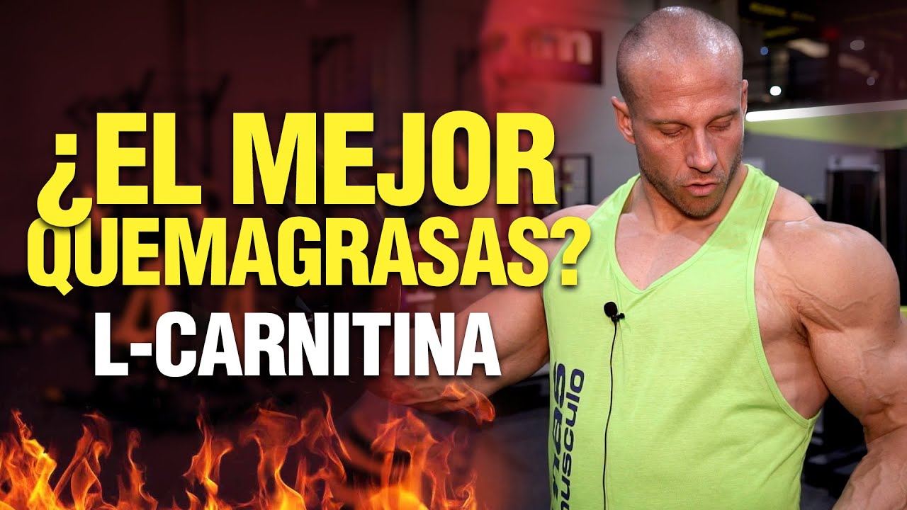 ✅ Todo sobre la L-CARNITINA ¿Es el mejor 🔥QUEMAGRASAS?