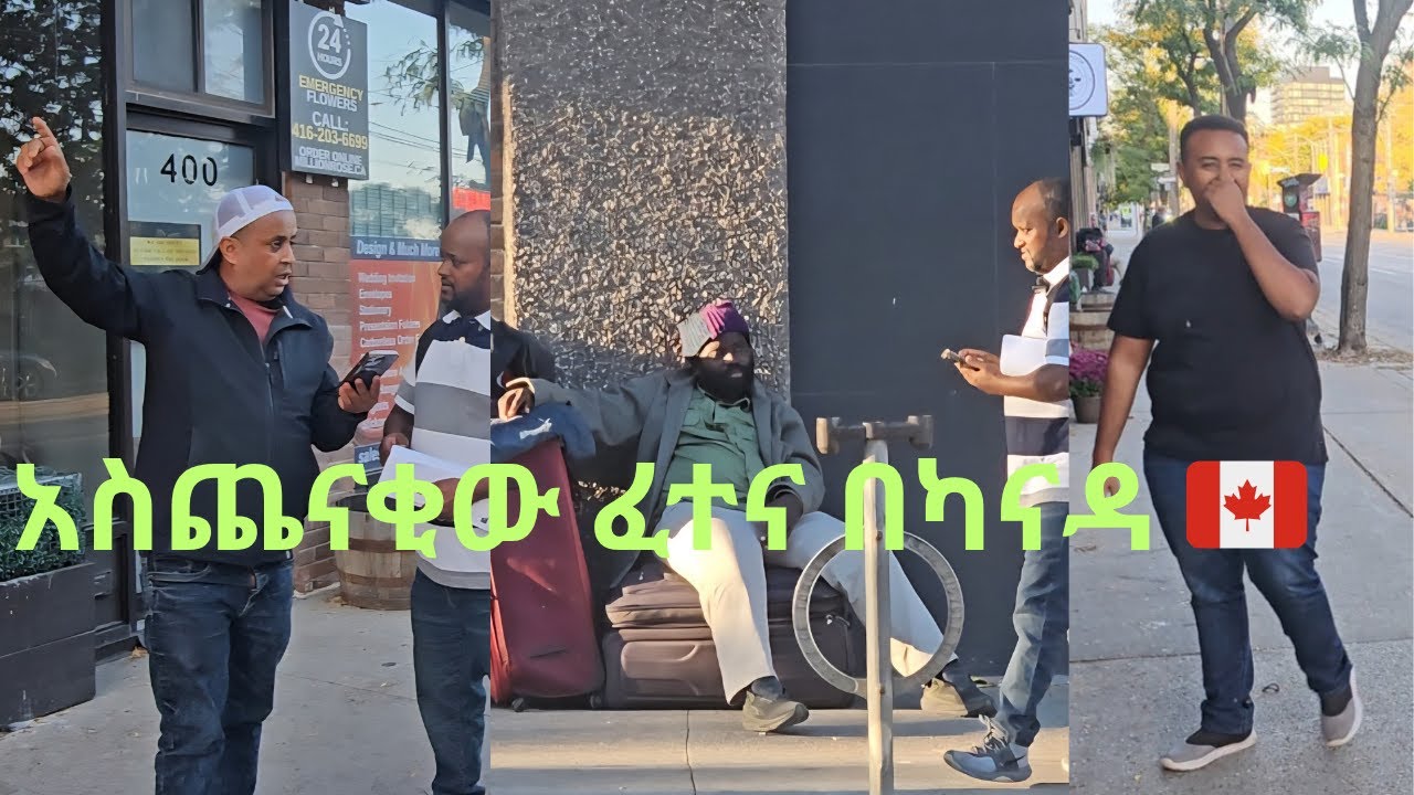 አስጨናቂው የሸልተር ኑሮ በቶሮንቶ ካናዳ