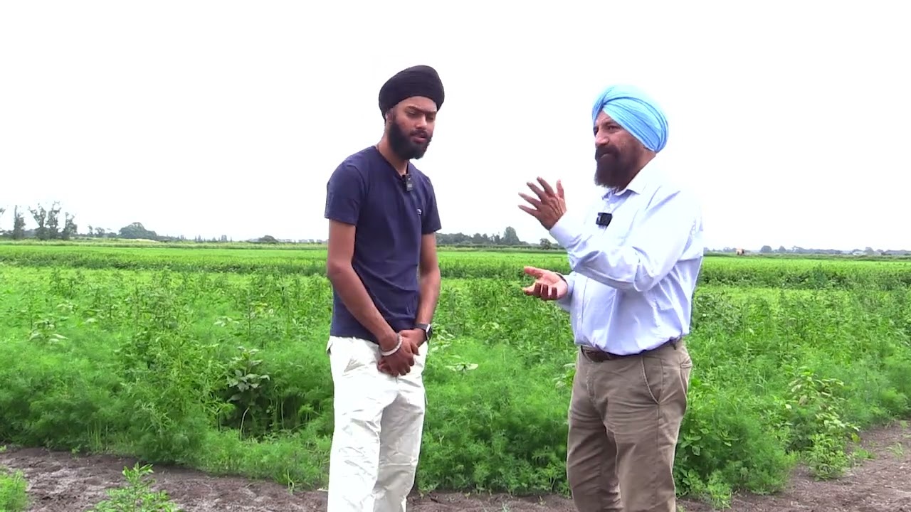 UK Farming - Thetford Ep 1