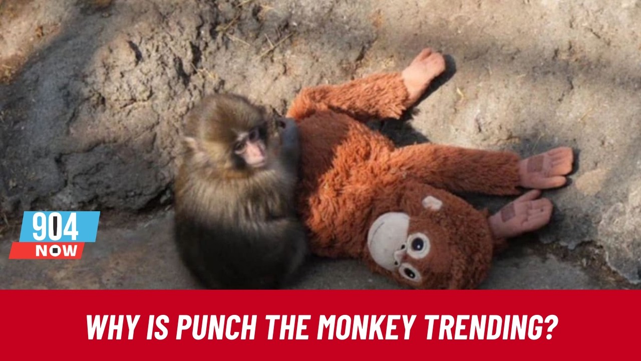 The Internet is talking about Punch the Monkey | STOITM | February 25, 2026