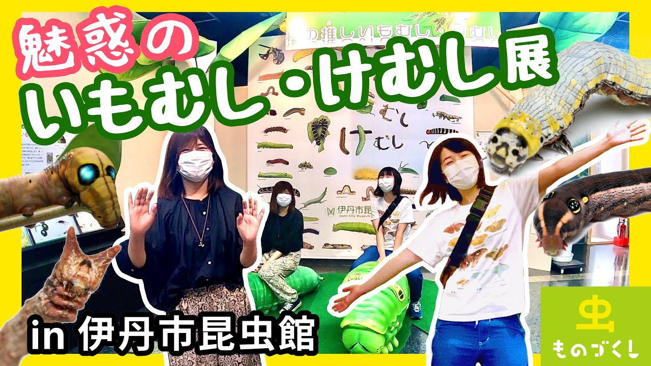 【いもむし・けむし展】伊丹市昆虫館さんを取材！【虫ものづくし2021】