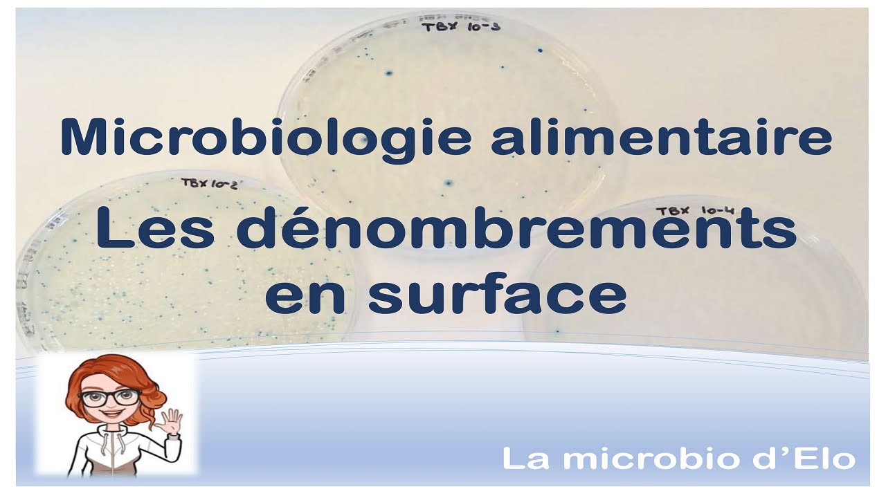 MICROBIOLOGIE ALIMENTAIRE - Dénombrement microbien de surface