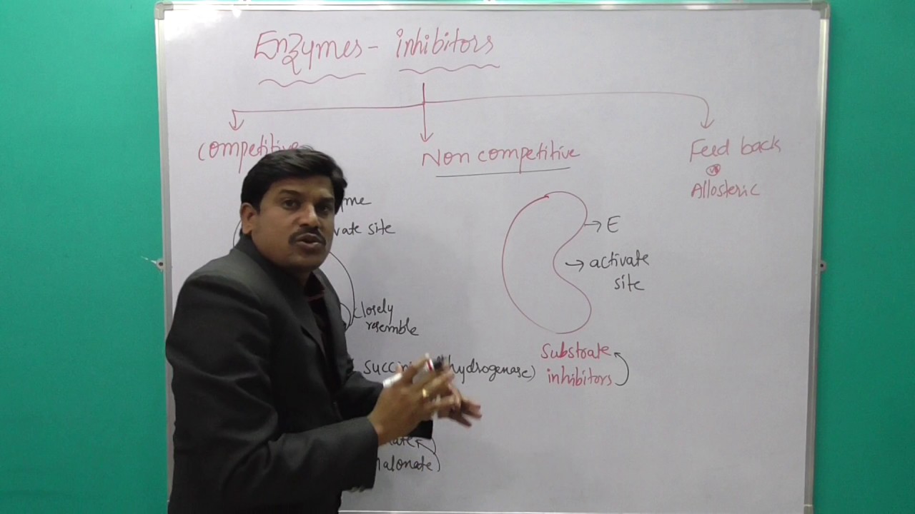 Enzymes Inhibitors-  Enzymes lesson - cnu