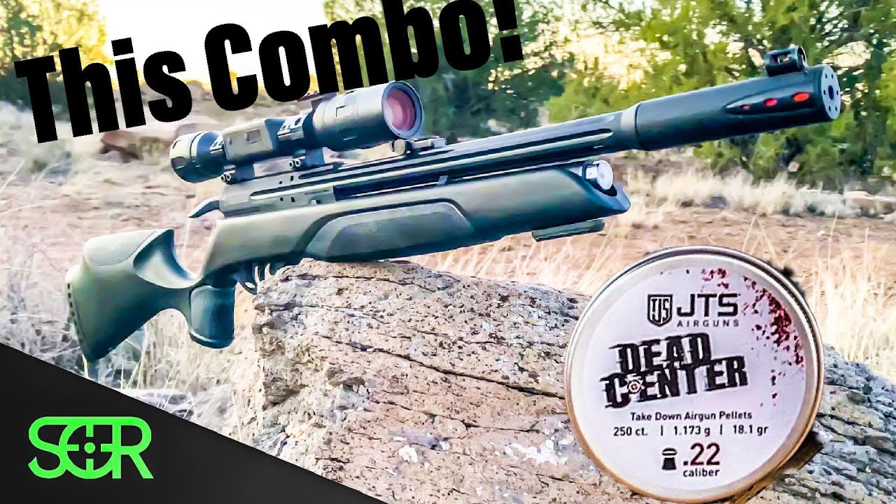 Gamo Arrow + JTS Pellets = Frekin Awesome!