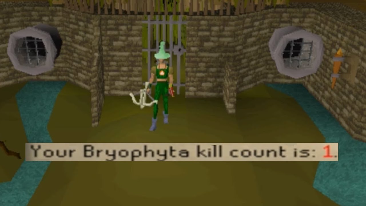 Моё первое убийство босса (HCIM)