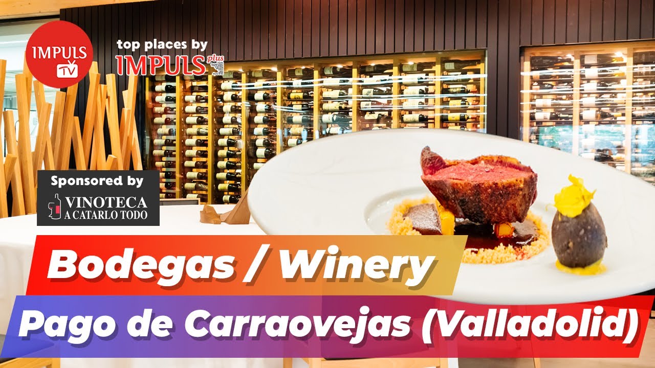 Bodega Pago de Carraovejas: vino, innovación y Restaurante Estrella Michelin ⭐ AMBIVIUM