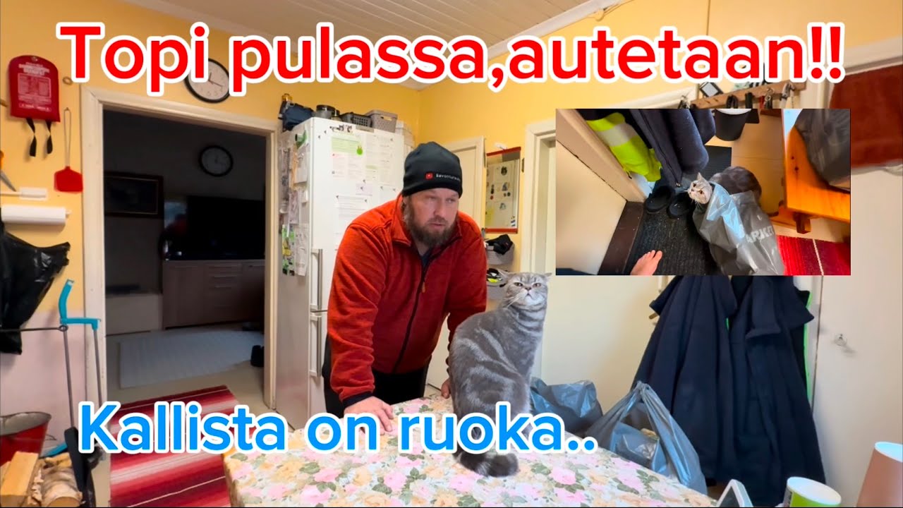 Kauppakassit Topin kanssa!!
