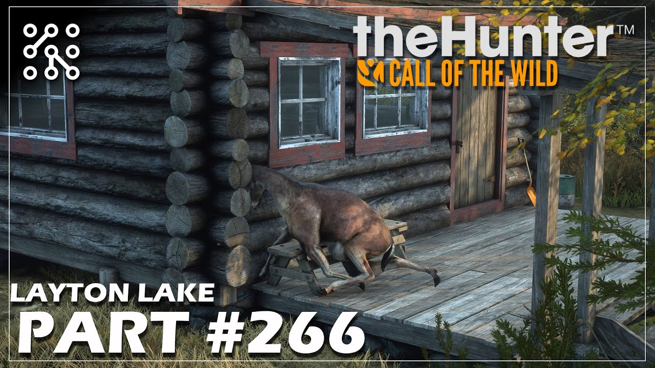 Máte už všechny úkoly na Laytonu? #266 | The Hunter: Call of the wild CZ  |  Česky