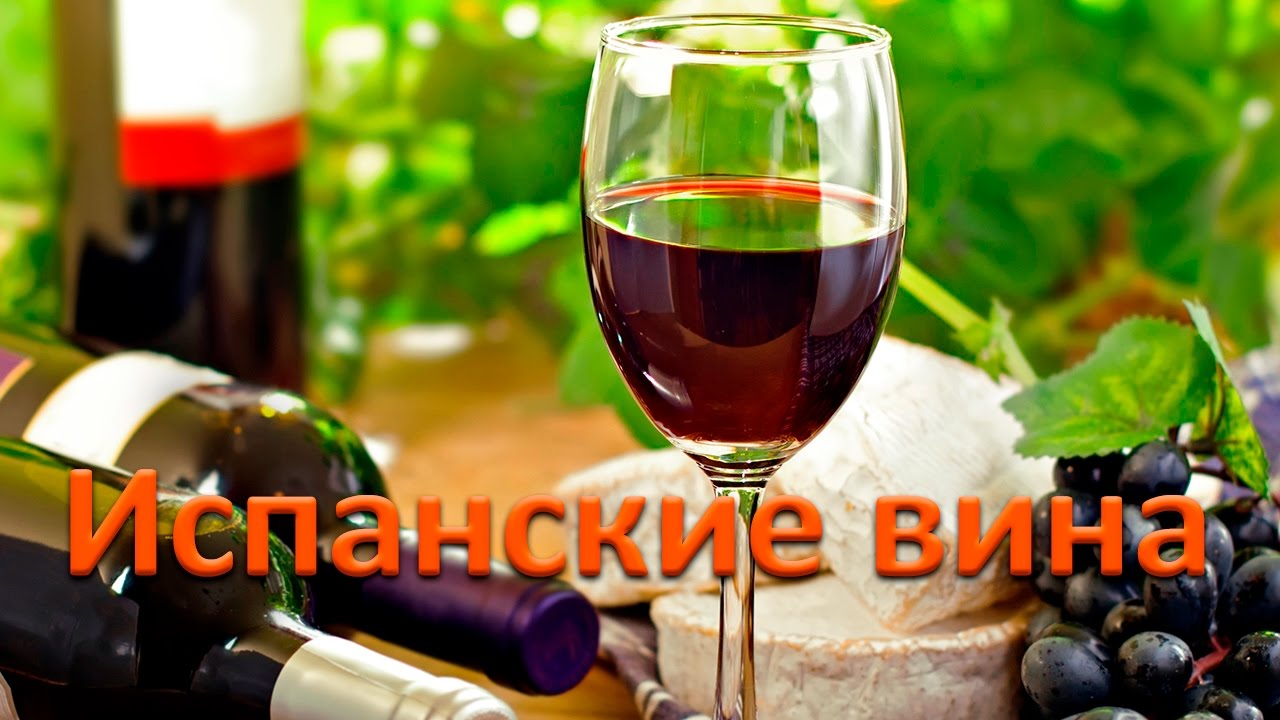 Испанские вина