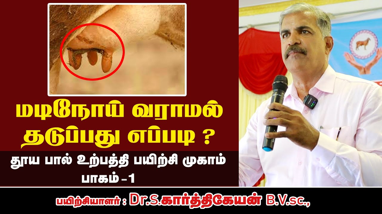 மடிநோய்  வராமல் தடுப்பது எப்படி | mastitis control | aavin