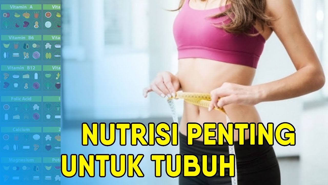 Jenis Nutrisi Penting untuk Tubuh | Hidup Sehat