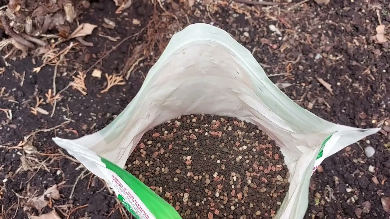 给牡丹花施肥的时间到了，看我施的什么肥！It's time to fertilize the peony flowers, let's see what fertilizer I apply!