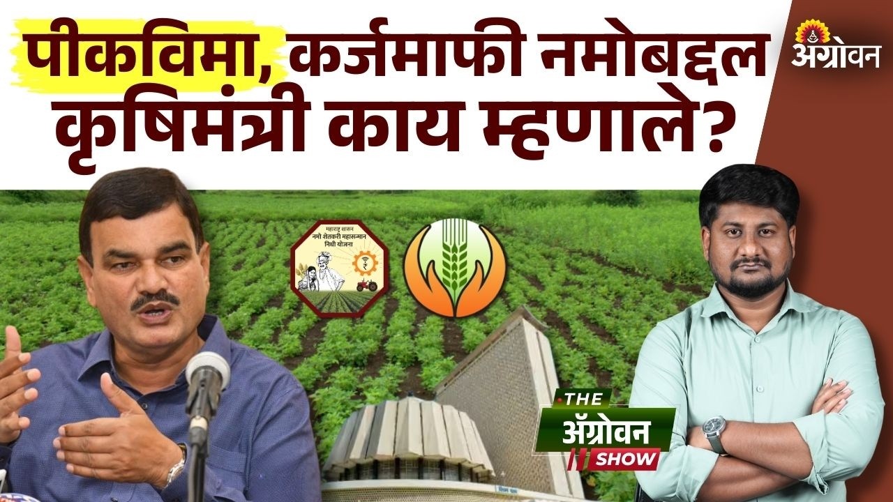 Crop Insurance : शेतकऱ्यांना नमोचा हप्ता. पीकविमा भरपाई लवकरच मिळणार? | Agrowon
