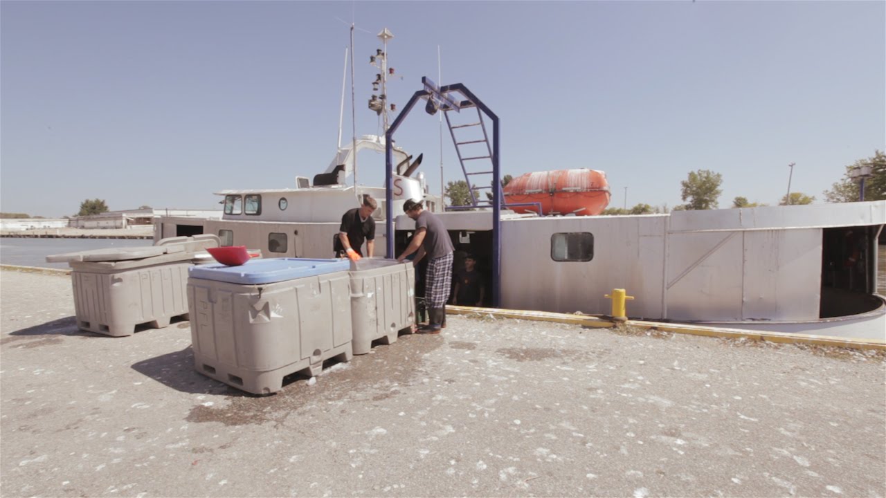 Behind-The-Scenes of Ontario Fish