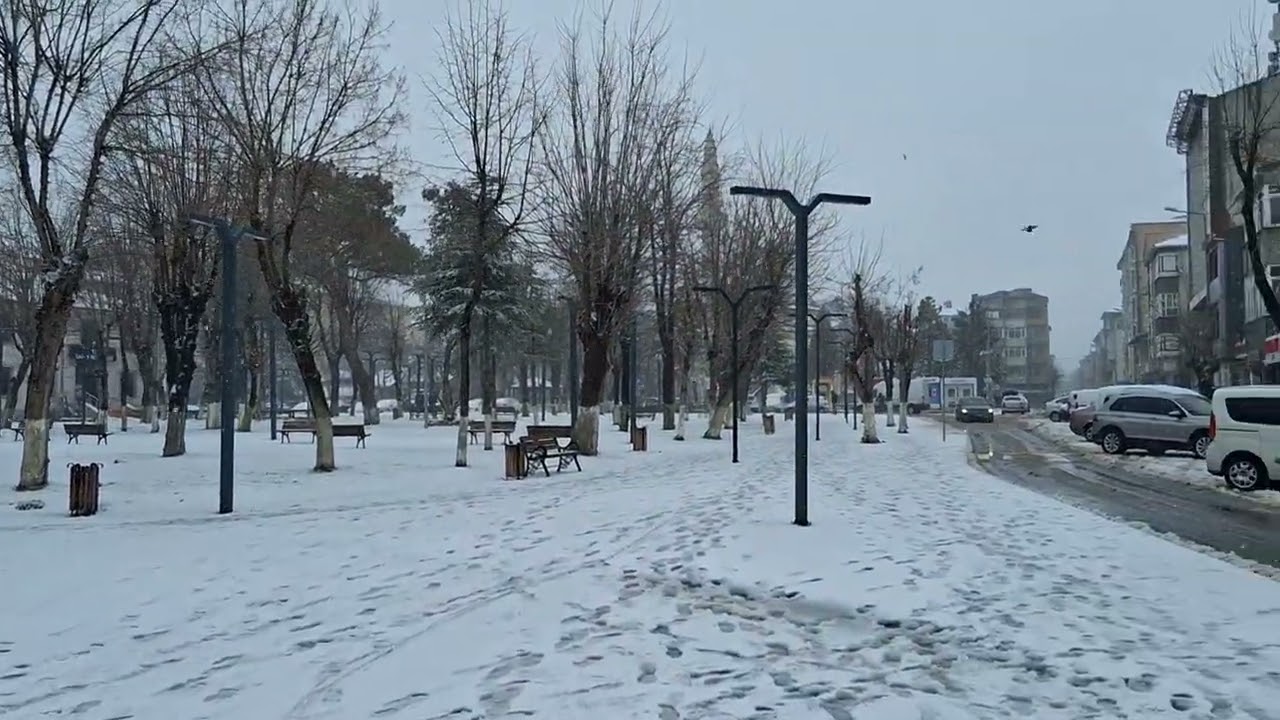 20260202 113222  SARAY'DA KAR