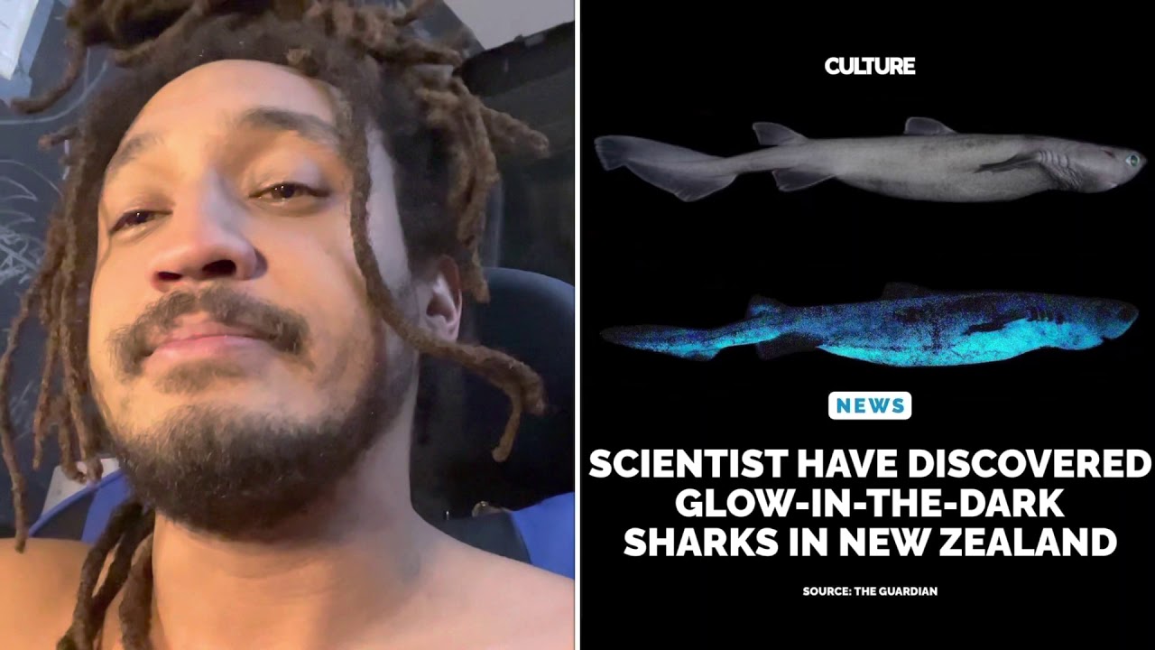 Glow in the Dark Sharks Are Now a Thing😩😩🦈 #PatGeo