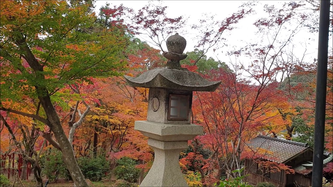 Akizuki Castle Ruins and Dazaifu in Autumn