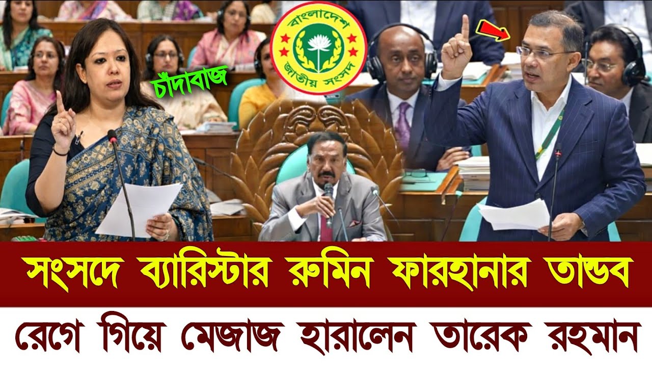 সংসদের ২য় অধিবেশনে তারেক রহমানকে একি বললেন ব্যারিস্টার রুমিন ফারহানা | Rumin Farhana parliament news