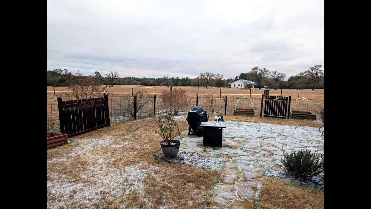 January 2026 Ice Storm - pt 1