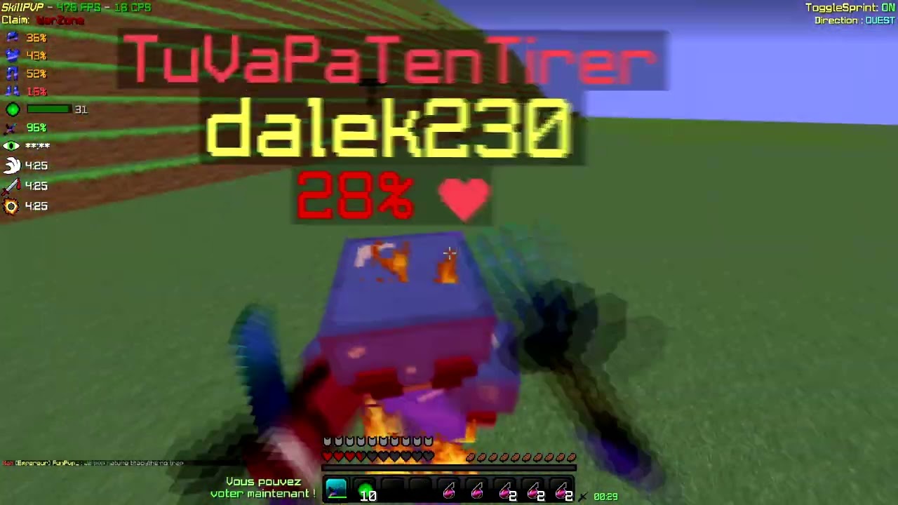 JE LES KILLS TOUS ÉPÉE MÉTÉOR SUR UN PC À (5000€) - SKILLPVP #6 (30 P4 DROPPED)