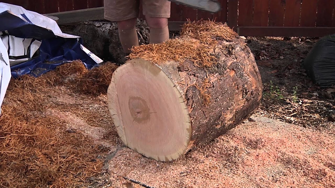 CHAINSAWS & BOWL BLANK PREP by Reed Gray aka RoboHippy