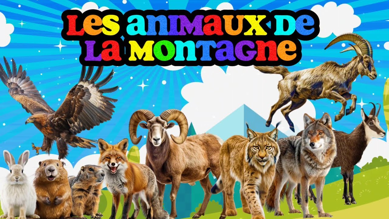Les ANIMAUX DE LA MONTAGNE et leurs CRIS | LUDOKIDS