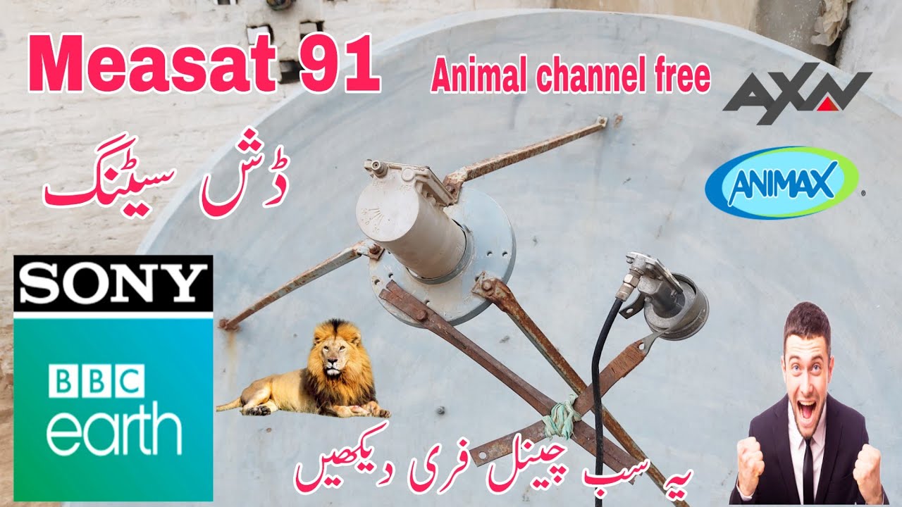 measat 91e c band dish setting|asia  7 105e say Measat 91 e C band Satellite Settings 4 feet dish|